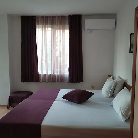 Guest house Vesela 3*