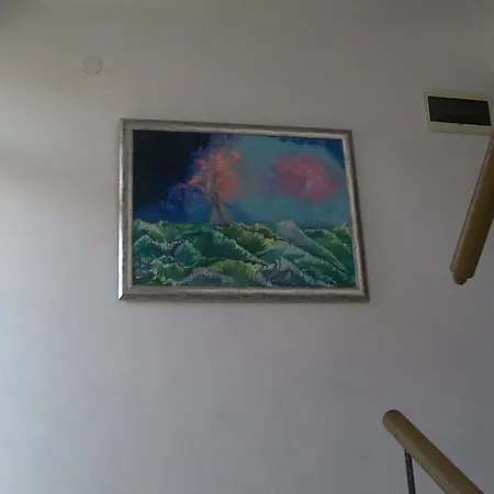 Guest house Vesela 3*